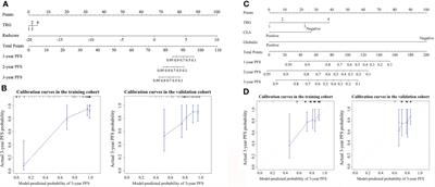 Establishment and validation of novel MRI radiomic feature-based prognostic models to predict progression-free survival in locally advanced rectal cancer